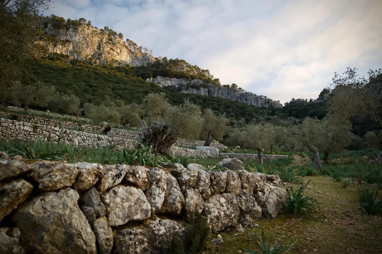 Finca Hotel Son Palou Orient 4*,  Spain